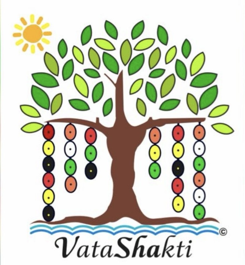 VataShakthi logo